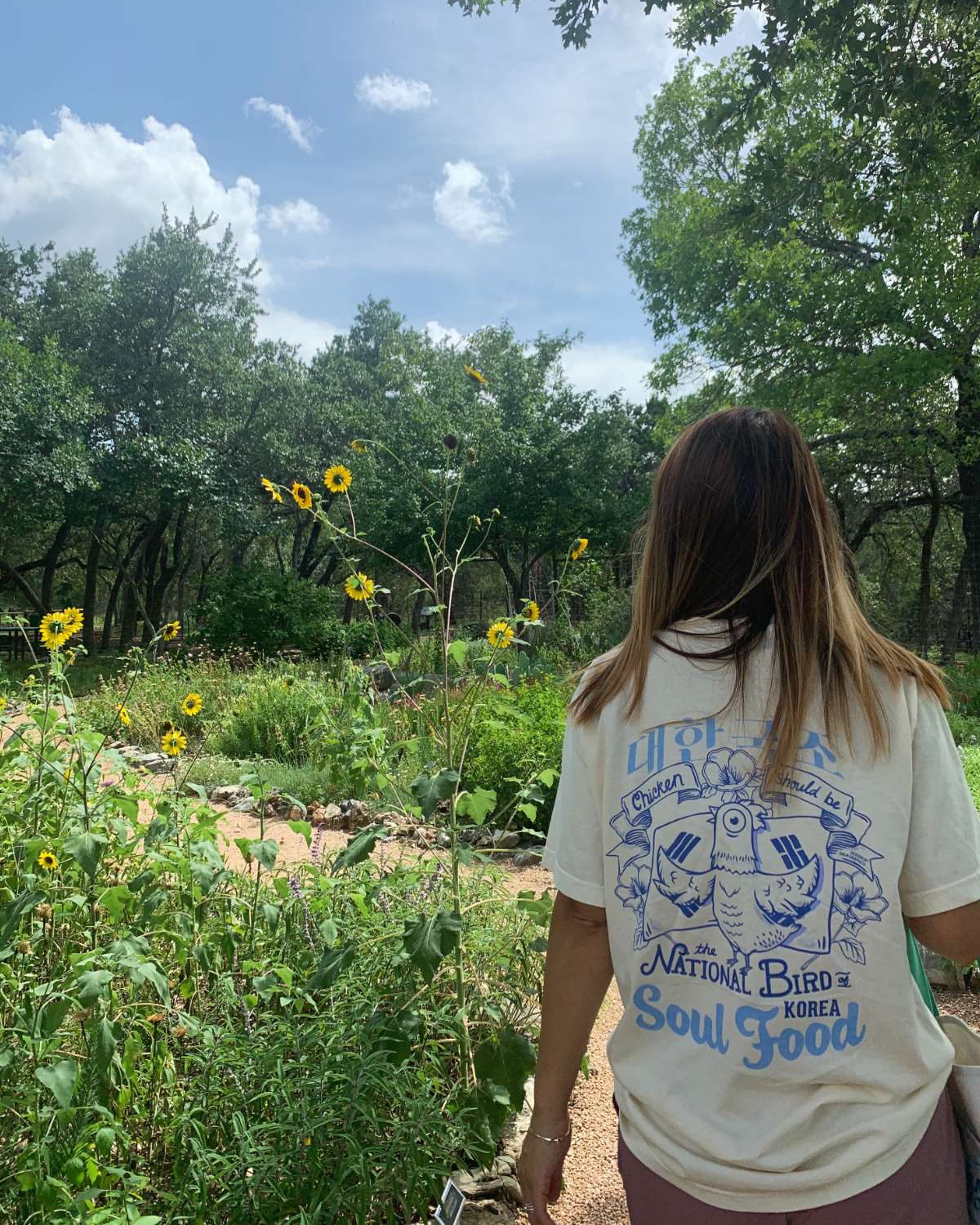 [SOUL FOOD] CHICKEN, THE KOREAN NATIONAL BIRD T-SHIRT
