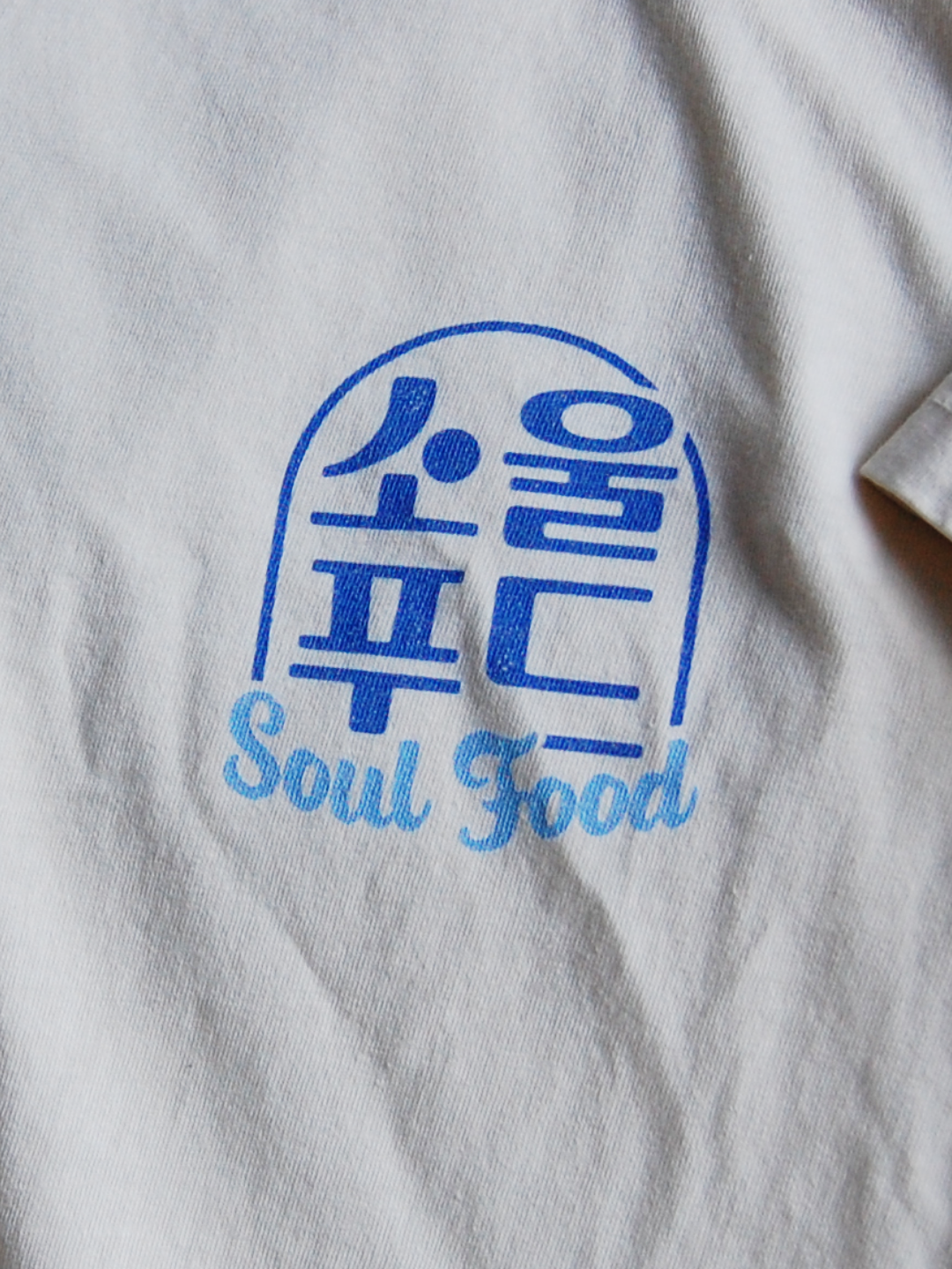 [SOUL FOOD] CHICKEN, THE KOREAN NATIONAL BIRD T-SHIRT